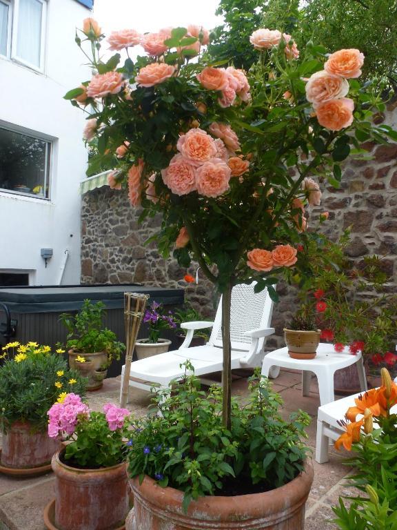 Bayview Guest House Saint Helier Exterior foto