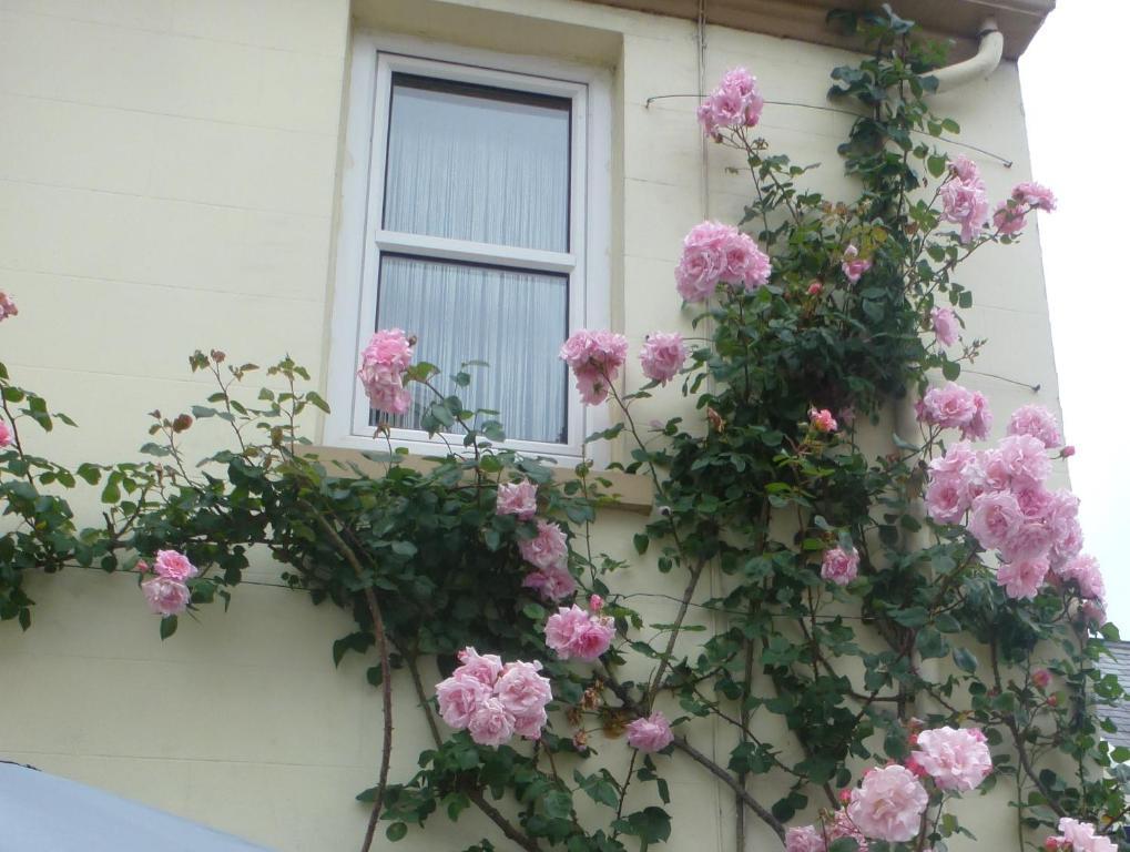 Bayview Guest House Saint Helier Exterior foto